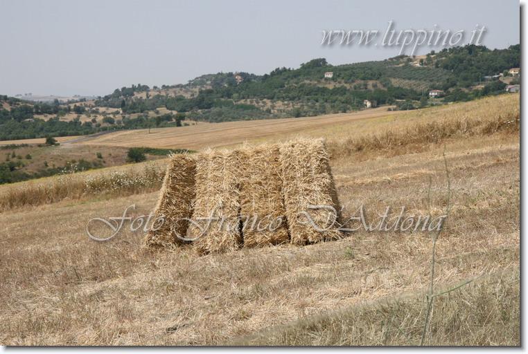 Sei già all'ultima foto